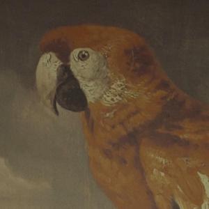 印度少妇撒尿❌XⅩX
